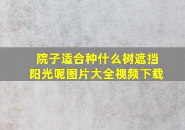 院子适合种什么树遮挡阳光呢图片大全视频下载