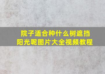 院子适合种什么树遮挡阳光呢图片大全视频教程