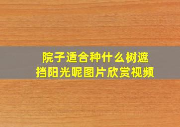 院子适合种什么树遮挡阳光呢图片欣赏视频