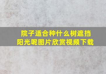 院子适合种什么树遮挡阳光呢图片欣赏视频下载