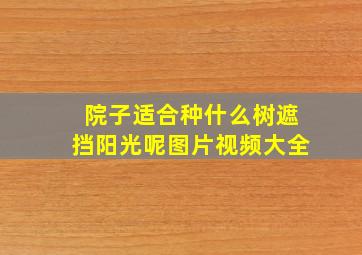 院子适合种什么树遮挡阳光呢图片视频大全