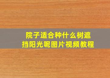 院子适合种什么树遮挡阳光呢图片视频教程