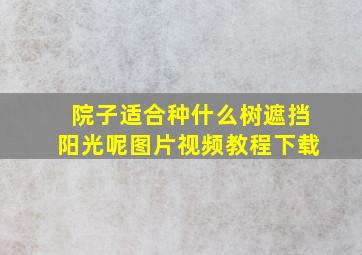 院子适合种什么树遮挡阳光呢图片视频教程下载