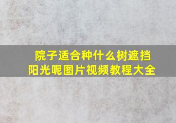 院子适合种什么树遮挡阳光呢图片视频教程大全