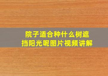 院子适合种什么树遮挡阳光呢图片视频讲解