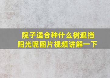 院子适合种什么树遮挡阳光呢图片视频讲解一下