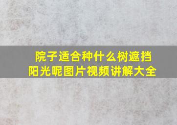 院子适合种什么树遮挡阳光呢图片视频讲解大全