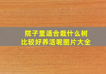 院子里适合栽什么树比较好养活呢图片大全