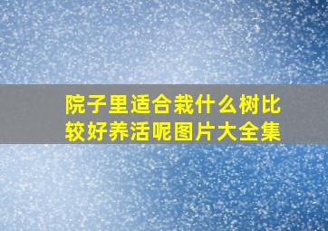 院子里适合栽什么树比较好养活呢图片大全集