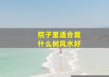 院子里适合栽什么树风水好