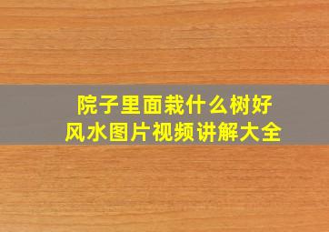 院子里面栽什么树好风水图片视频讲解大全