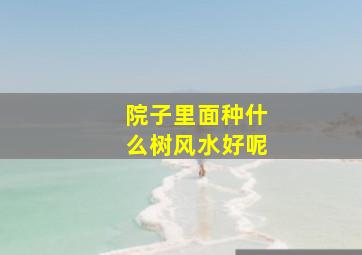 院子里面种什么树风水好呢