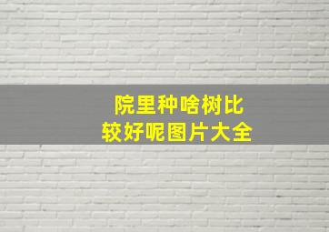 院里种啥树比较好呢图片大全