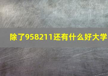 除了958211还有什么好大学