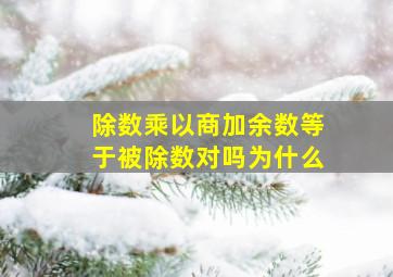 除数乘以商加余数等于被除数对吗为什么