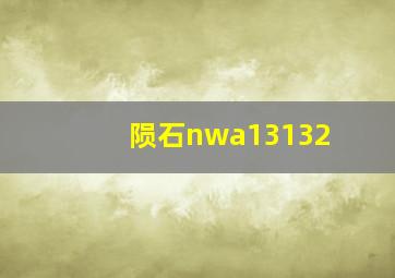 陨石nwa13132