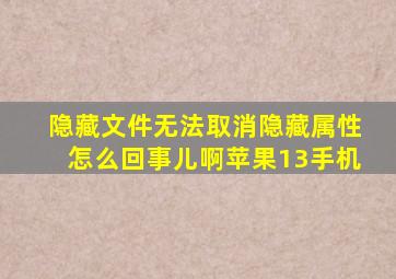 隐藏文件无法取消隐藏属性怎么回事儿啊苹果13手机