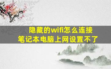 隐藏的wifi怎么连接笔记本电脑上网设置不了