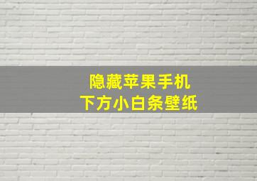 隐藏苹果手机下方小白条壁纸