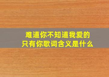 难道你不知道我爱的只有你歌词含义是什么