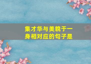 集才华与美貌于一身相对应的句子是