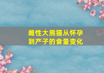 雌性大熊猫从怀孕到产子的食量变化