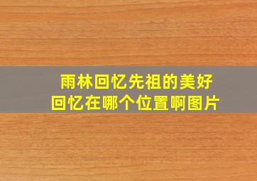 雨林回忆先祖的美好回忆在哪个位置啊图片