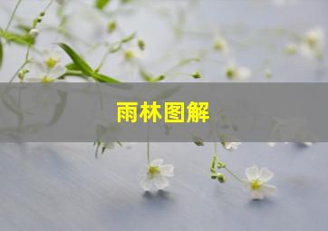 雨林图解