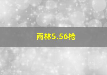 雨林5.56枪