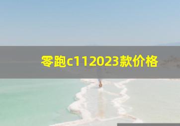 零跑c112023款价格