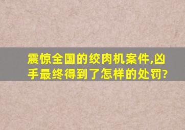 震惊全国的绞肉机案件,凶手最终得到了怎样的处罚?