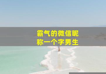 霸气的微信昵称一个字男生