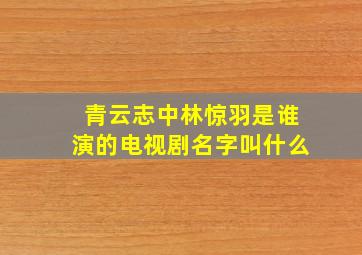 青云志中林惊羽是谁演的电视剧名字叫什么