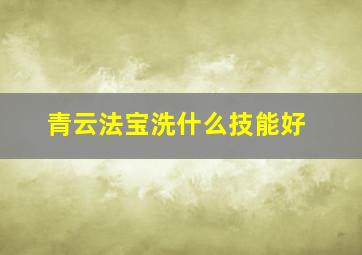 青云法宝洗什么技能好