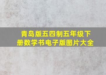 青岛版五四制五年级下册数学书电子版图片大全