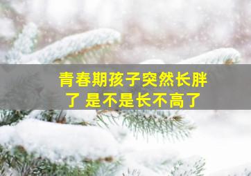 青春期孩子突然长胖了 是不是长不高了