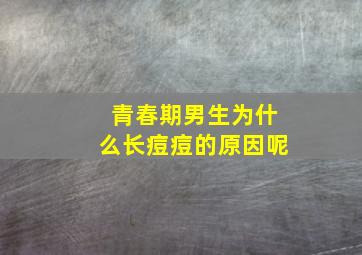 青春期男生为什么长痘痘的原因呢