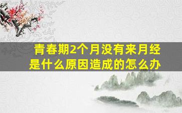 青春期2个月没有来月经是什么原因造成的怎么办