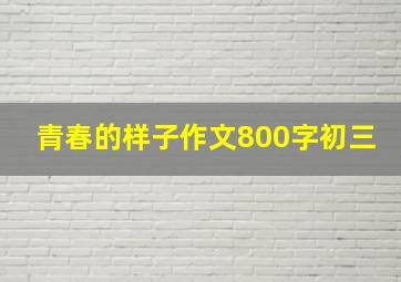 青春的样子作文800字初三