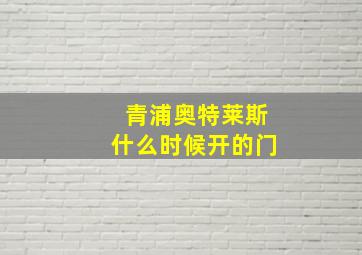 青浦奥特莱斯什么时候开的门