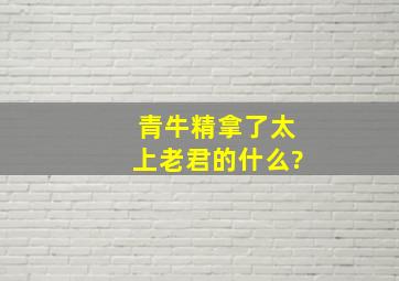 青牛精拿了太上老君的什么?