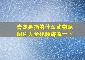 青龙是指的什么动物呢图片大全视频讲解一下