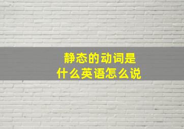 静态的动词是什么英语怎么说