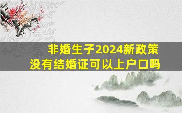 非婚生子2024新政策没有结婚证可以上户口吗