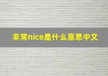 非常nice是什么意思中文