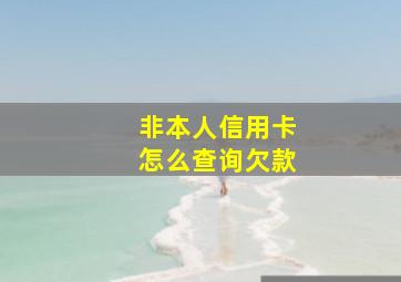 非本人信用卡怎么查询欠款