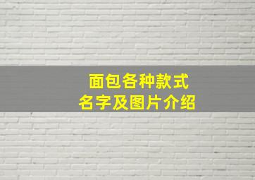 面包各种款式名字及图片介绍