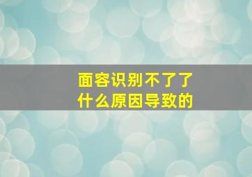 面容识别不了了什么原因导致的