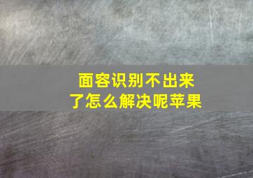 面容识别不出来了怎么解决呢苹果