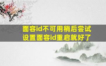 面容id不可用稍后尝试设置面容id重启就好了